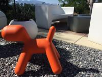 Terrasse 